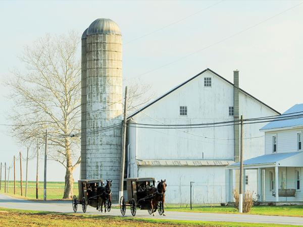 lancaster pa amish farm tours