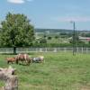 Country View PA Bed & Breakfast