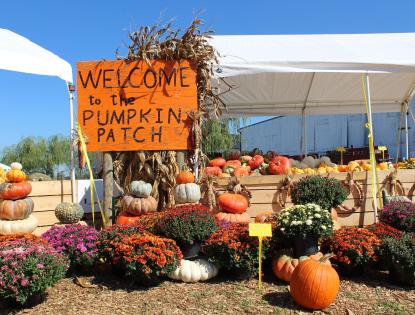 An orange "Welcome to the Pumpkin Patch" sign stands among stacks of pumpkins and mums at a pumpkin patch in the fall