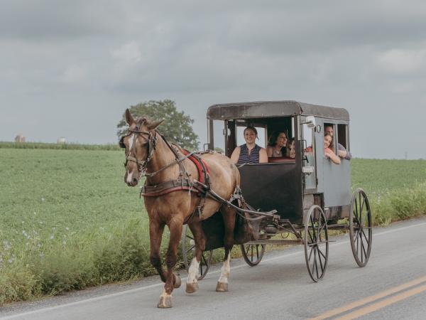 Family riding in an Amish horse and buggy in Lancaster County, PA