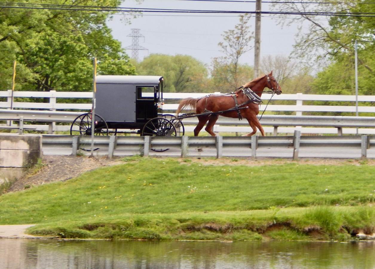 Pennsylvania Amish History & Beliefs | Discover Lancaster