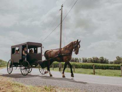 Aaron and jessica's buggy sales rides