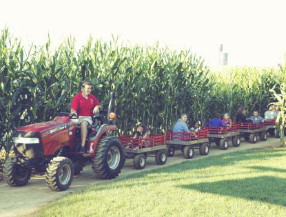 Young kids sitting in small red wagons being pulled by a tractor next to a field of corn.