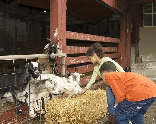 2024 PA Farm Show Discover Lancaster